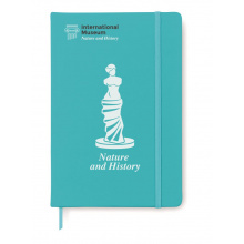DIN A6 Notizbuch, liniert - Topgiving