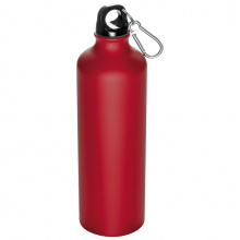 Trinkflasche aus aluminium mit karabinerhaken, 800 ml - Topgiving