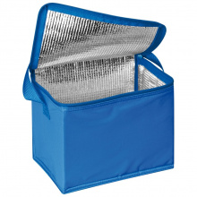 Kühltasche für 6 dosen à 0,5l - Topgiving