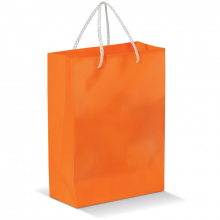 Laminierte papiertasche, groß - Topgiving