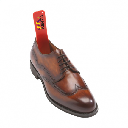 Shoe assist schuhlöffel - Topgiving