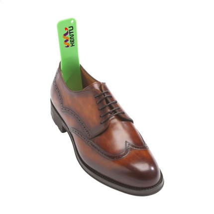 Shoe assist schuhlöffel - Topgiving