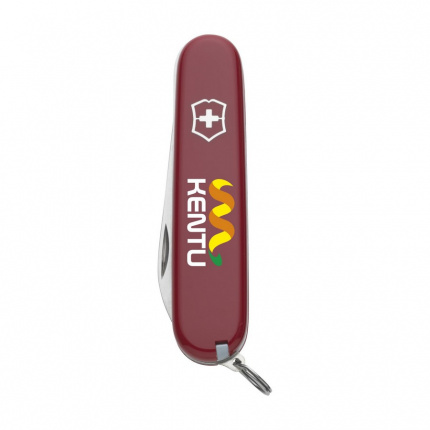 Victorinox walker - Topgiving