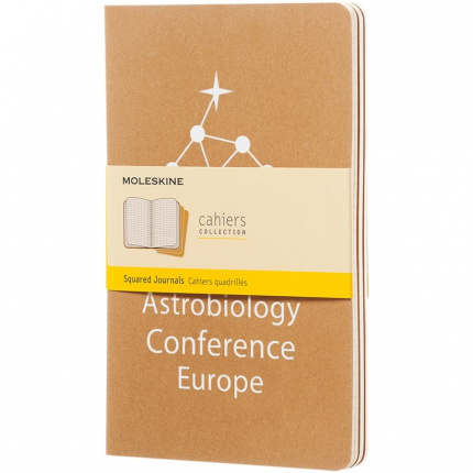 Cahier Journal L  kariert - Topgiving
