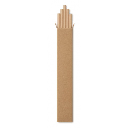 10 Papier-Trinkhalme - Topgiving