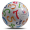 PVC Fußball: Größe 5 - 360 Gramm - Topgiving