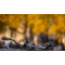 Handyhalter Fahrrad - Topgiving