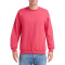 Gildan sweater crewneck heavyblend for him - Topgiving