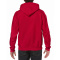 Gildan sweater hooded heavyblend for him - Topgiving