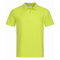 Stedman polo ss for him - Topgiving