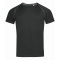 Stedman t-shirt crewneck raglan for him - Topgiving