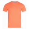 Stedman t-shirt crewneck clive ss for him - Topgiving