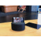 Bluetooth-lautsprecher music man - Topgiving