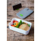 Multi box lunchbox - Topgiving