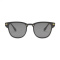 Carbon sonnenbrille - Topgiving