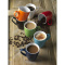Zonia tasse - Topgiving