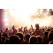 Festival armband - Topgiving