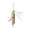 Beechwood taschenmesser - Topgiving