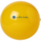 Bahamas Wasserball - Topgiving