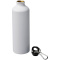 Pacific 770 ml matte sportflasche mit karabinerhaken - Topgiving