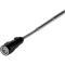 Magnetica Teleskopgreifer mit Taschenlampe - Topgiving