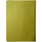 Chameleon mittelgroßes Notizbuch - Topgiving