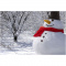 Schneemann Set - Topgiving