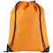 Evergreen Premium Non Woven Sportbeutel - Topgiving