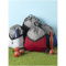 Voyager Sportbeutel - Topgiving