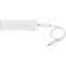 Flash 2200 mAh Powerbank - Topgiving