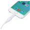 MFI Lightning Adapter - Topgiving