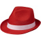 Trilby Hut - Topgiving