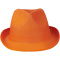 Trilby Hut - Topgiving
