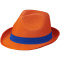 Trilby Hut - Topgiving