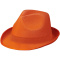 Trilby Hut - Topgiving