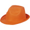 Trilby Hut - Topgiving