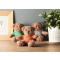 Teddybär mit Hoody - Topgiving
