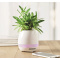 Bluetooth Lautsprecher - Topgiving