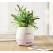 Bluetooth Lautsprecher - Topgiving