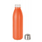 Glas Trinkflasche 650ml - Topgiving