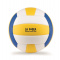 Volleyball - Topgiving