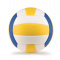 Volleyball - Topgiving