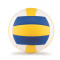Volleyball - Topgiving