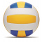 Volleyball - Topgiving