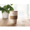 Becher mit Mais PLA 420ml - Topgiving