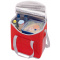 Kühltasche frosty - Topgiving