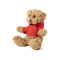 Teddy - Topgiving